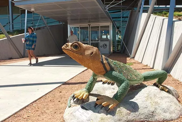 A sculpture of a collard lizard stands guard at the entrance to the Nothwest Libray, in northwest okc of course. mh