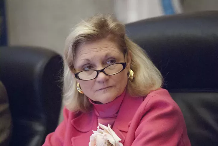 Ward 6 Councilwoan Meg Salyer's seat is up for re-election in March, 2015. - MARK HANCOCK