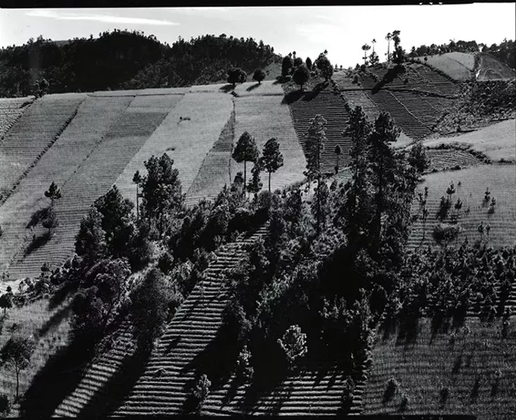 Photograph by Brett Weston - OKLAHOMA CITY MUSEUM OF ART / PROVIDED