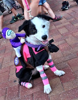 A dog costume contest is among many ways to celebrate National Dog Day at Remington Bark.(Remington Park Racing & Casino / Provided)