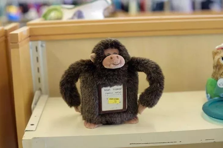 Monkey fram at Heart and Hand Thrift Store Monday, March 6, 2017. - GARETT FISBECK