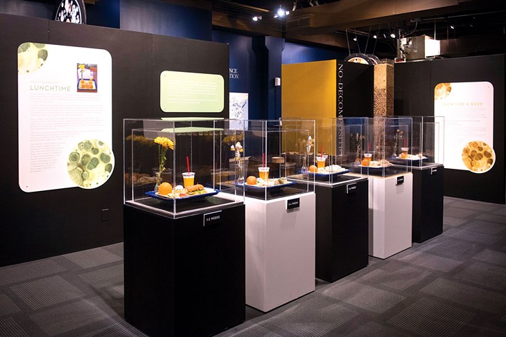 A display in the smART Space exhibition Decomposition shows guests how real food decomposes over time. | Photo Science Museum Oklahoma / provided