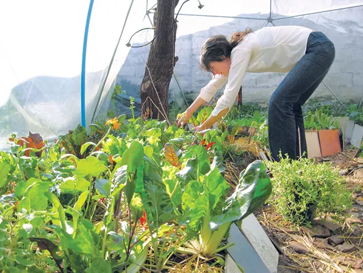 Stephanie Holiman started gardening when she was a teenager and began learning about organic gardening in 2003. - STEPHANIE HOLIMAN / PROVIDED
