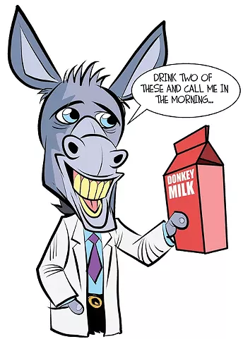 donkey_1_.jpg
