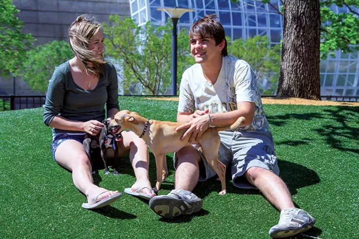 Myriad Botanical Gardens Dog Park is an off-leash dog park in downtown OKC. - CARL SHORTT JR. / MYRIAD BOTANICAL GARDENS / PROVIDED