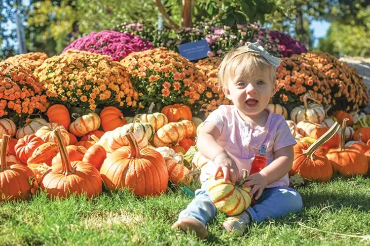Pumpkinville at Myriad Botanical Gardens - runs Oct. 5-21. - ANDY RINE / MYRIAD BOTANICAL GARDENS / PROVIDED
