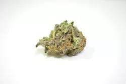 Grape Jam from Ringside Medical - KIMBERLY LYNCH