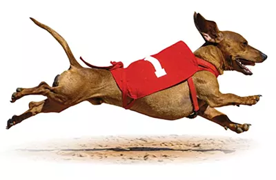 Oklahoma Gazette held Dachshund Dash, - benefitting local humane societies, from - 2005 to 2009. - PHOTO GAZETTE / FILE