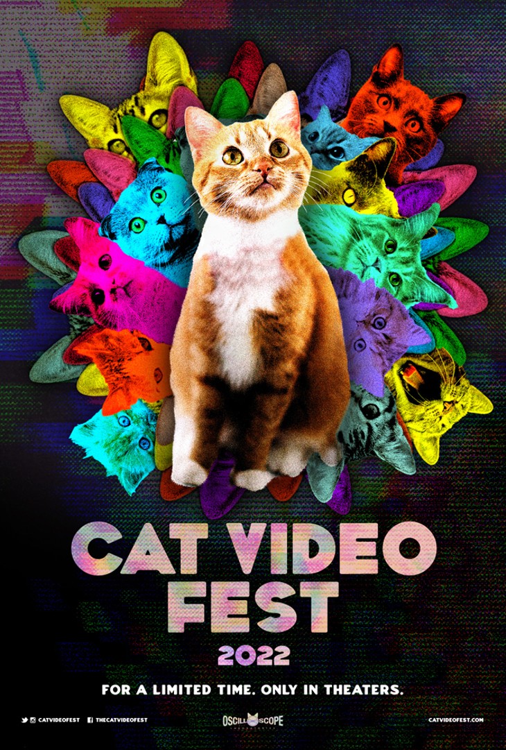Cat Video Fest - PHOTO PROVIDED