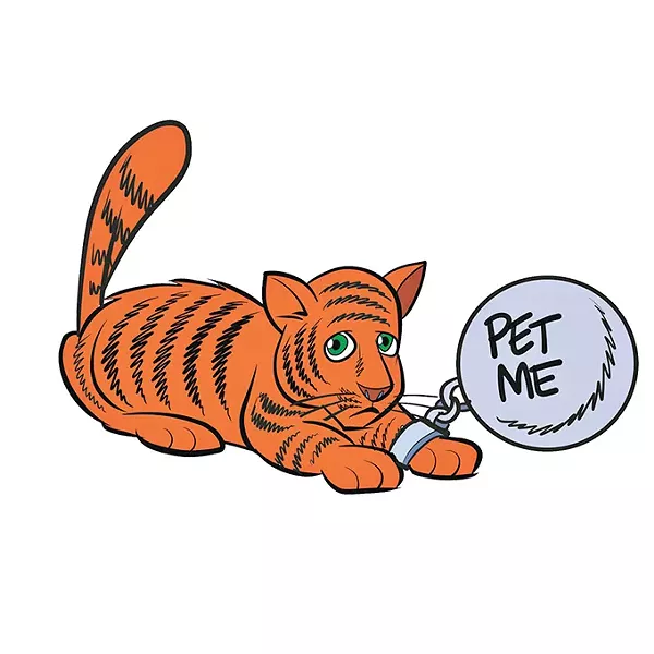 cat1.jpg