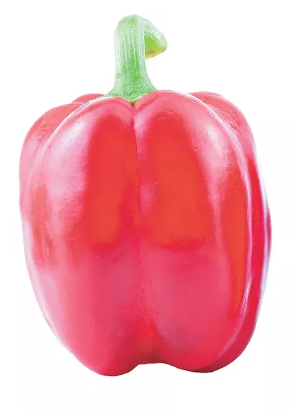 two red pimento with pure white background - BIGSTOCK