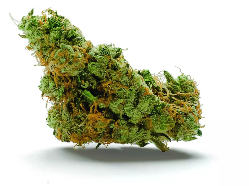 GMO Cookies - PHILLIP DANNER