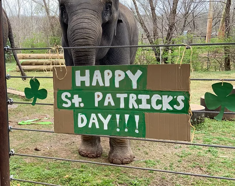 OKLAHOMA CITY ZOO / PROVIDED
