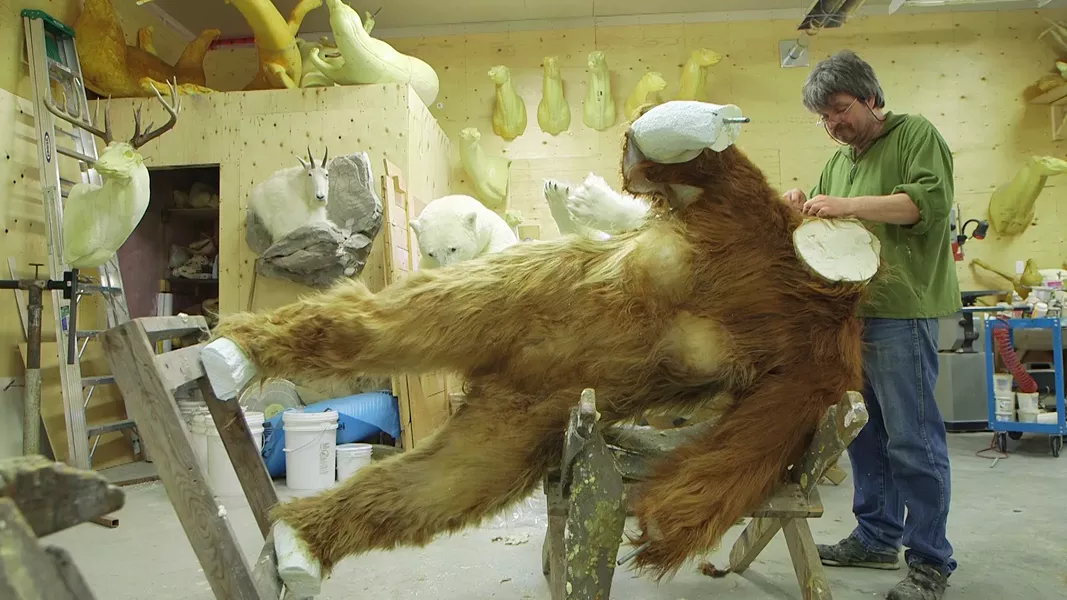Big Fur is available to stream at deadcenterfilm.org. - BIG FUR / DEADCENTER FILM FESTIVAL / PROVIDED