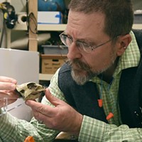 Tom Luczycki, exhibit director at the Sam Noble Museum in Norman, examines the reproduction of the Aquilops Americanus scull before it goes on display to the public.  mh