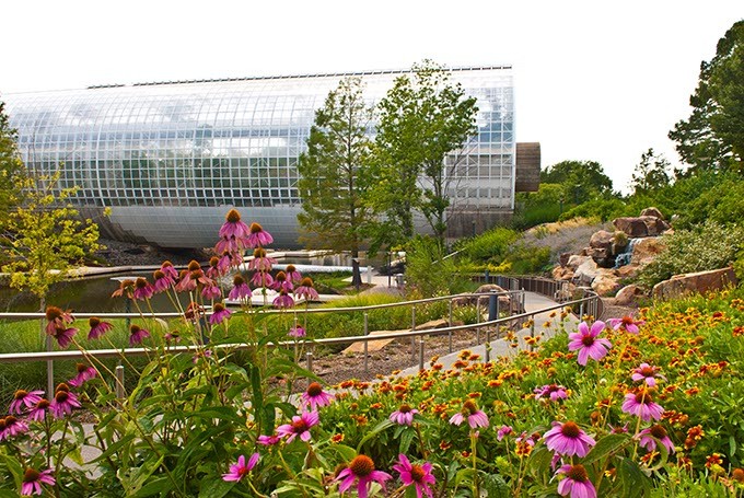 Myriad Botanical Gardens Brings Springtime Fun Community