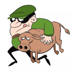 WEBCFN_CATTLE.jpg