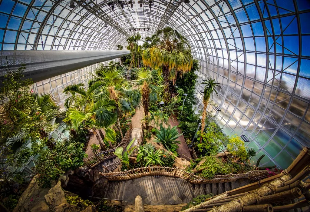 Myriad Botanical Gardens Oklahoma City Parks Gardens