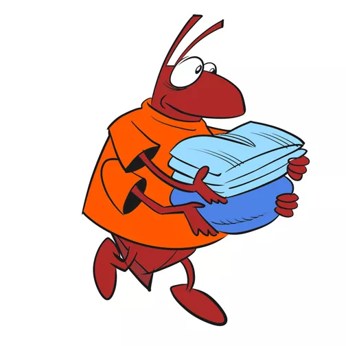 CFN_BEDBUG.jpg