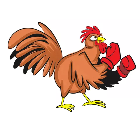 CFN_COCK-1.jpg