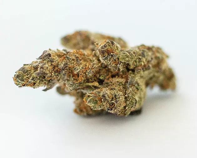 Orange Cookies from BCC Collective - ALEXA ACE