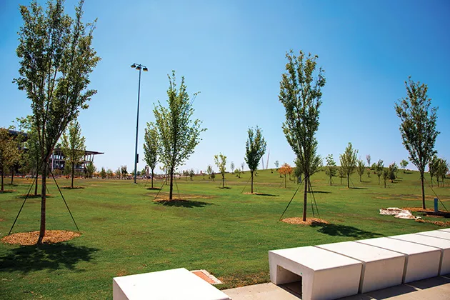 While ready to be open, much of Scissortail Park’s landscaping will need time to grow. - PROVIDED