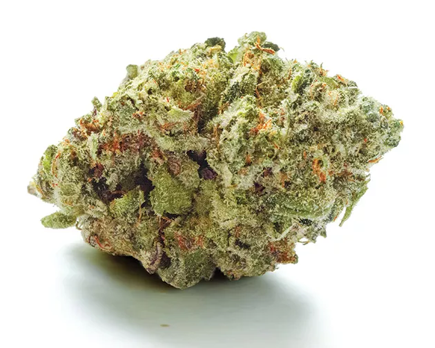 Blueberry - PHILLIP DANNER