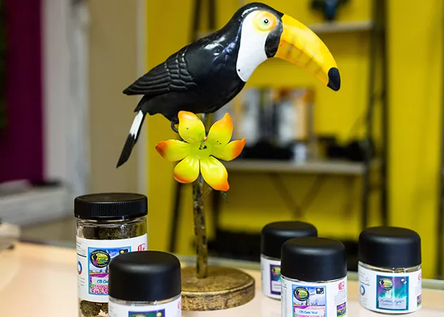 Toucannabis is a tropical bird-themed dispensary in northeast Oklahoma City. - ALEXA ACE