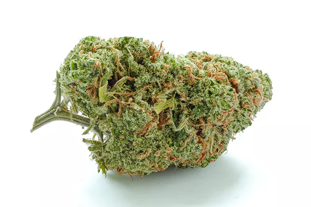 Flower Review: Green Crack | The High Culture | Oklahoma City | Oklahoma Gazette