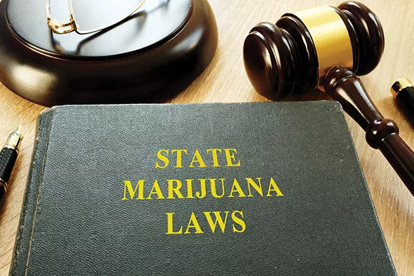 Oklahoma voters will decide next year if they want to put recreational cannabis on a ballot. - BIGSTOCK.COM