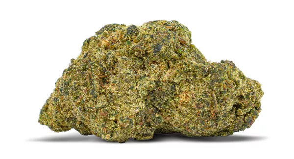 Jungle Cake - PHILLIP DANNER