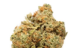 Strain Review: Lilac Diesel
