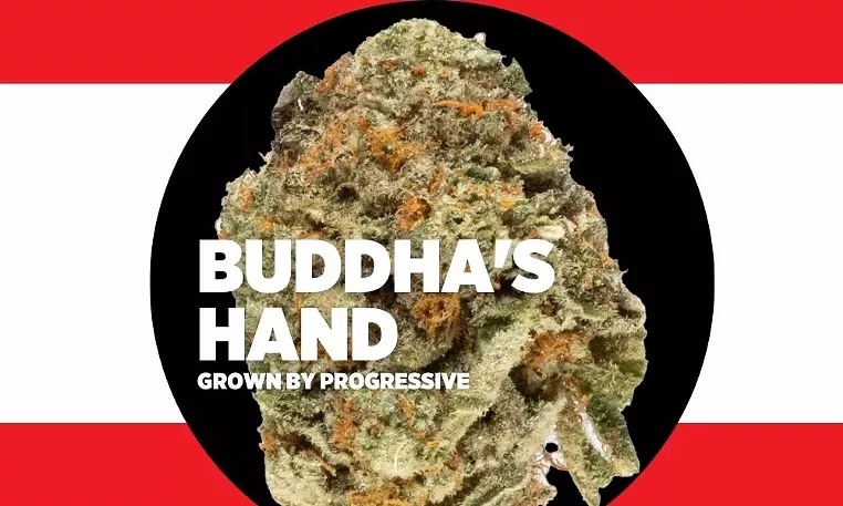 Strain Review: Buddha's Hand - Vimarsana News