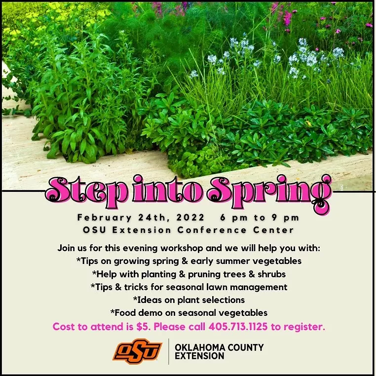 Step into Spring - Vimarsana News