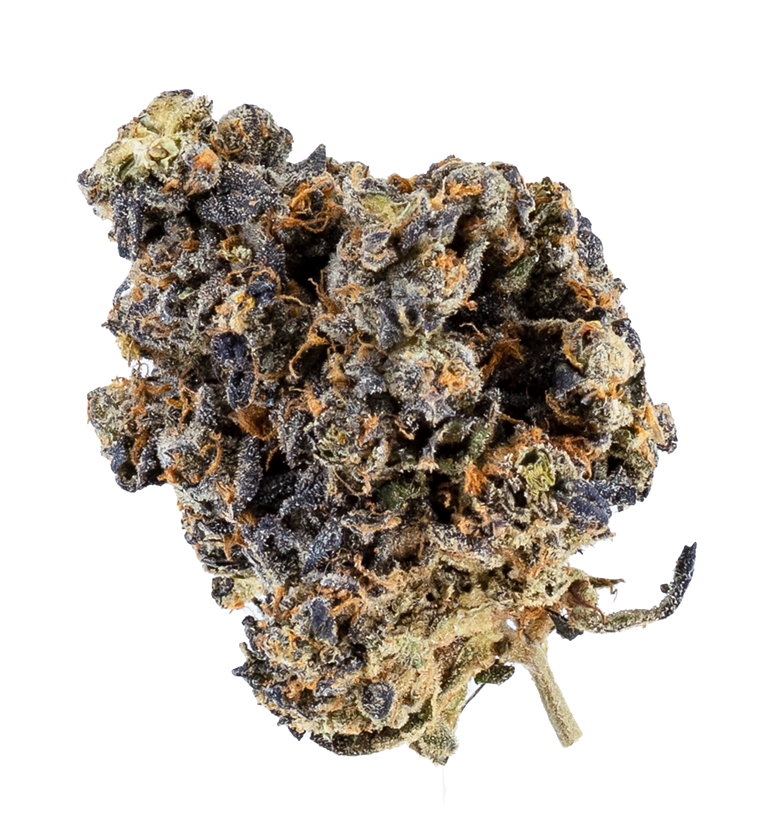 Strain Review: Project 4516 - Vimarsana News