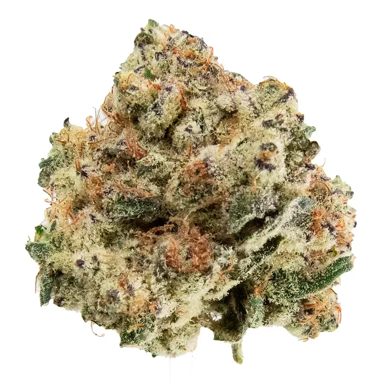 Strain Review: Daily Grape - Vimarsana News