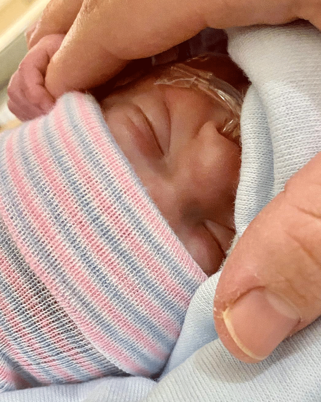  Year in Review: Jessie Morrow