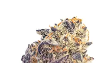 Strain Review: Oreoz