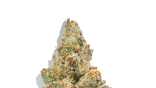 Strain Review: Mandarin Punch