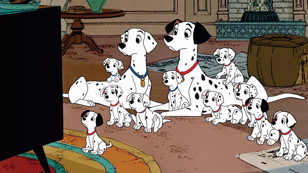 dalmations.jpg