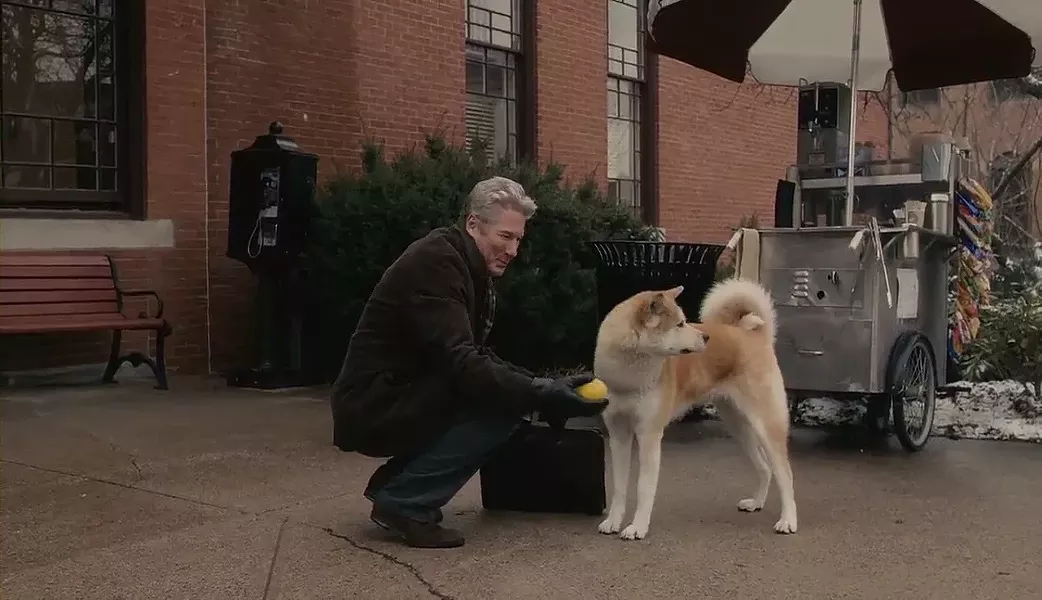 hachi.jpg
