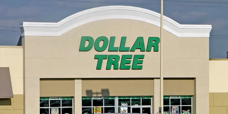 You Can Now Eat Healthy Vegetarian Food From Dollar Tree Blogs