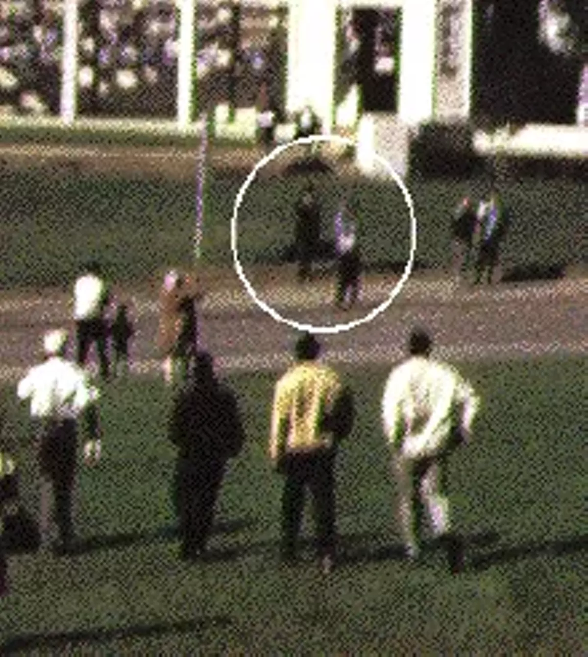 "The Umbrella Man", a cautionary tale by Erroll Morris Blogs