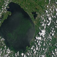 Candidates for Florida governor target toxic algae outbreaks, water problems