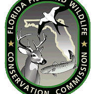 Meet the FWC's commissioners – the men and woman who brought you Florida's bear hunt