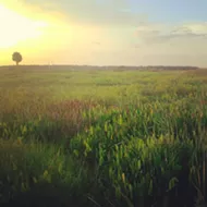 Florida Legislature moves bill forward allowing state parks to be repurposed for hunting, grazing