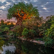 Disney delays Earth Day debut for Rivers of Light show, announces other activities