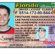 florida dmv check driver license status florida dmv check driver license status