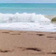 These Florida counties have spilled nearly 400,000 gallons of poop so far this year