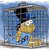 In a year full of worrying Orlando headlines, at least there were a few bright spots